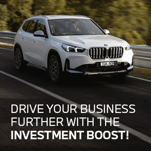 Government Investment